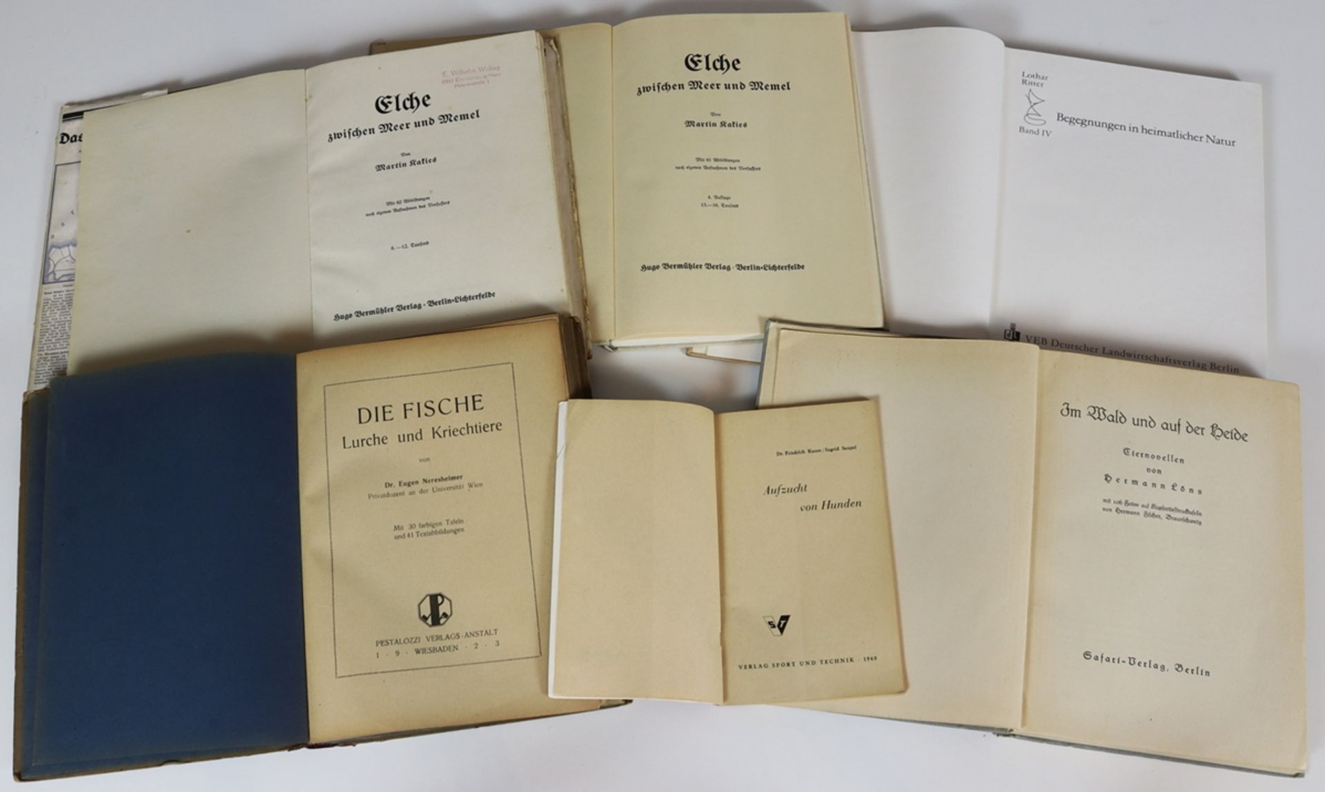 Lot of six reference books from the animal world ca. 1923 / 1960 - Image 2 of 4