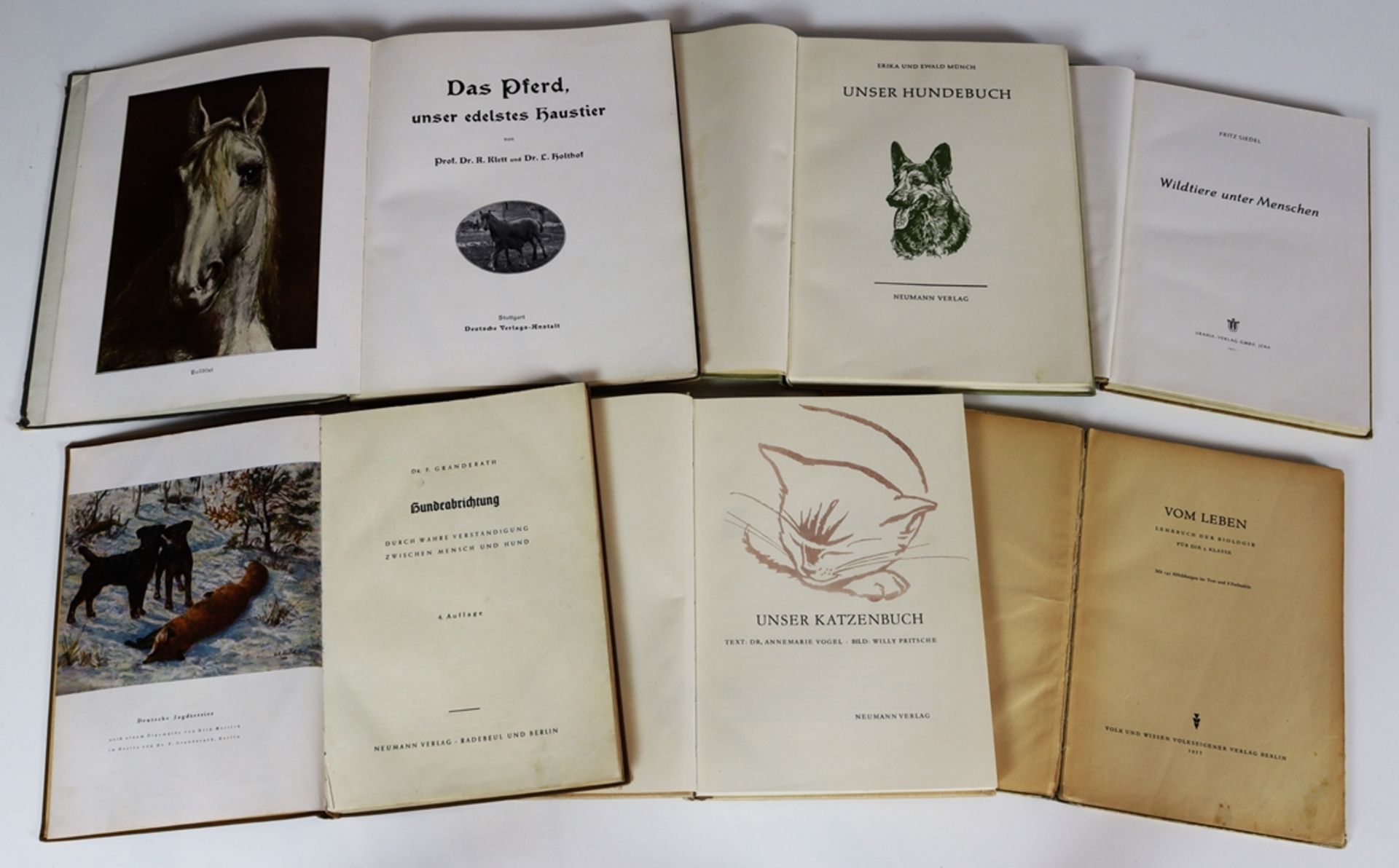 Lot of five reference books from the animal world as well as a biology book ca. 1951 - 1969 - Image 2 of 4