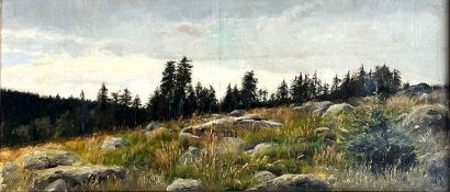 Deutscher Landschaftsmaler des 19./29. Jh., Harzlandschaft-Panoramabild