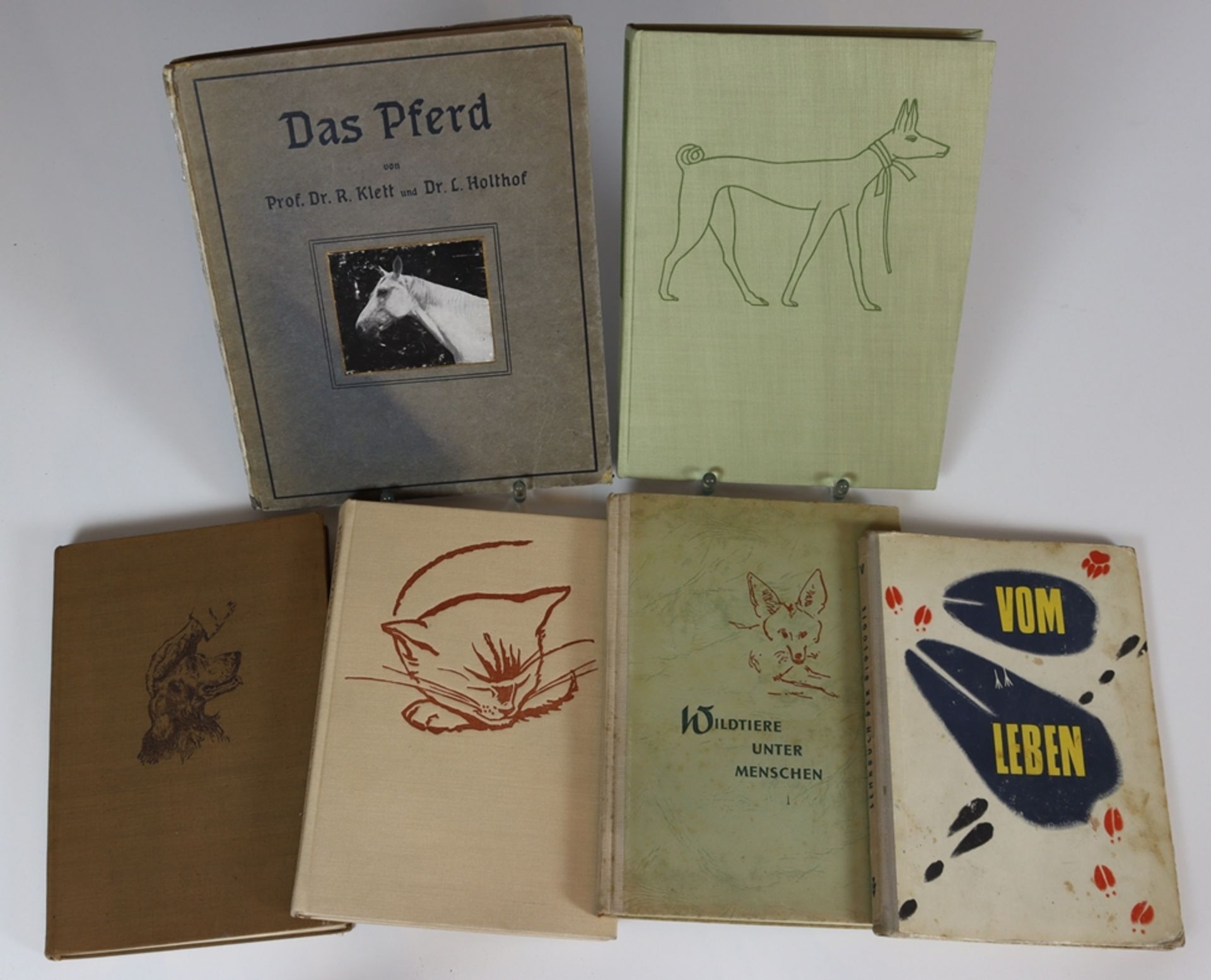 Lot of five reference books from the animal world as well as a biology book ca. 1951 - 1969