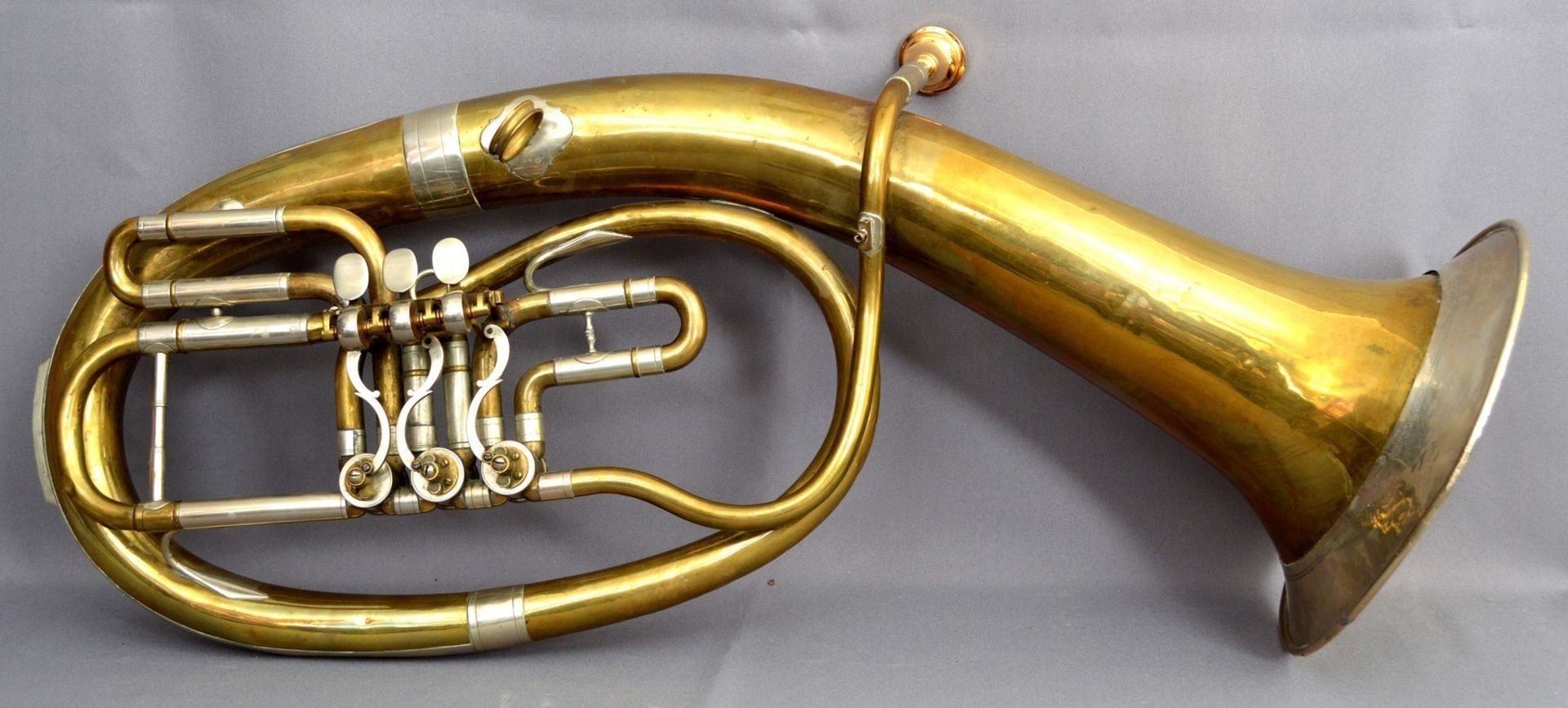 Tenorhorn