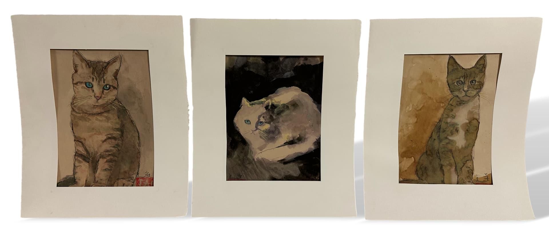 Unleserlich signiert, 3 Aquarelle Katze