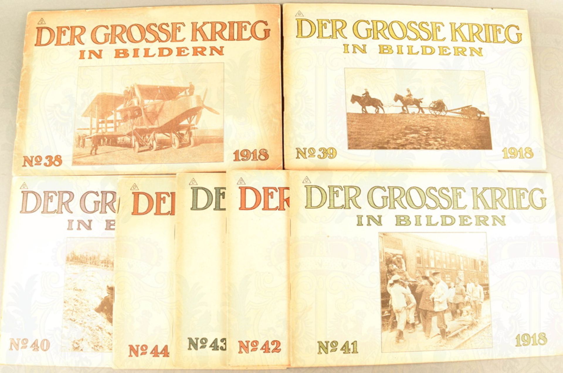 DER GROSSE KRIEG IN BILDERN 1918