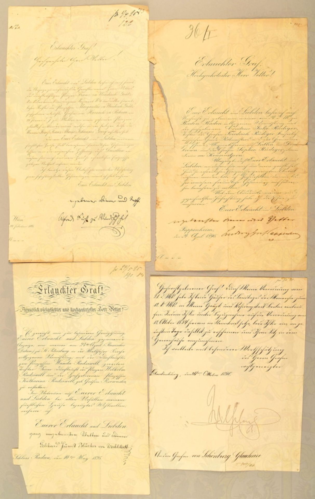 Grouping of documents Count Schönburg-Glauchau