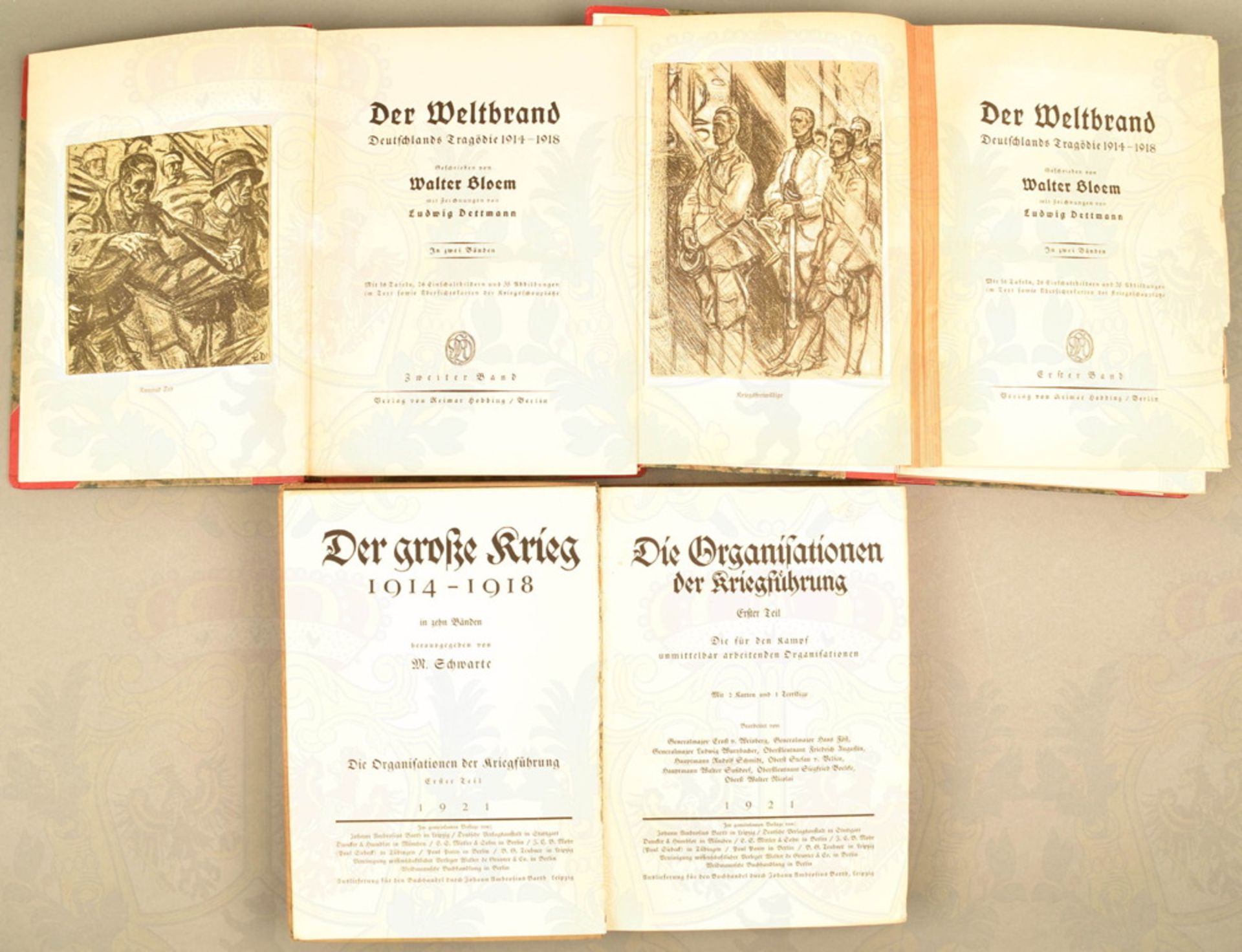 12 Titel 1. Weltkrieg, Der Große Krieg 1914-1918 - Die Organisationen der Kriegsführung; 2 Bände Der - Image 2 of 2