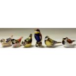 A Royal Crown Derby paperweight, Bee-eater, silver stopper; others, House Sparrow, Blue Tit,
