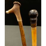 A Victorian bone walking stick, turned pommel, 83cm long, c.1890; another, horn handle, with