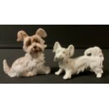 An Augarten Austria model of a Syke Terrier, 6.5cm high; another, Rosenthal (2)