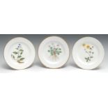 Three English porcelain circular botanical plates, probably Spode, painted with Dwarf Geranium,