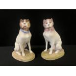 A pair of late 19th century bisque models, of Bull Terriers, 16cm high, c.1890