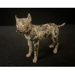 An Austrian cold painted bronze model, of a Bull Terrier, 8cm high, c.1910