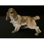 A Hutschenreuter model, of a Spaniel, 11cm high, printed mark