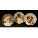 A late 19th century hand painted cabinet plate, Maltese Terriers Head, 22.7cm diameter; others T C