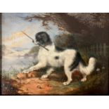 English School (19th century), playtime, a Newfoundland with a stick; oil on artist board, 15cm x