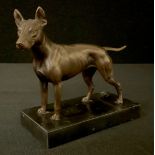 English School, 20th century, a brown patinated bronze, a Bull Terrier, standing, black