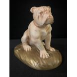 A Crown Devon Fieldings model, of a Bulldog, in blush ivory, gilt base, 13.5cm high, printed mark