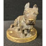 A 20th century gilt bronze car mascot, Scottish Terrier, seated, 7cm high, c.1930