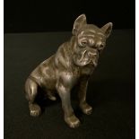 A French silver plated car mascot, of a French Bulldog, 11.5cm high, c.1920