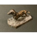 An early 20th century Austrian bronze model, of a Dachshund, standing, shaped oval base, 6.5cm high,