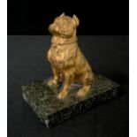 English School, 19th century, a gilt bronze, of a Bulldog, seated, rectangular marble base, 12cm