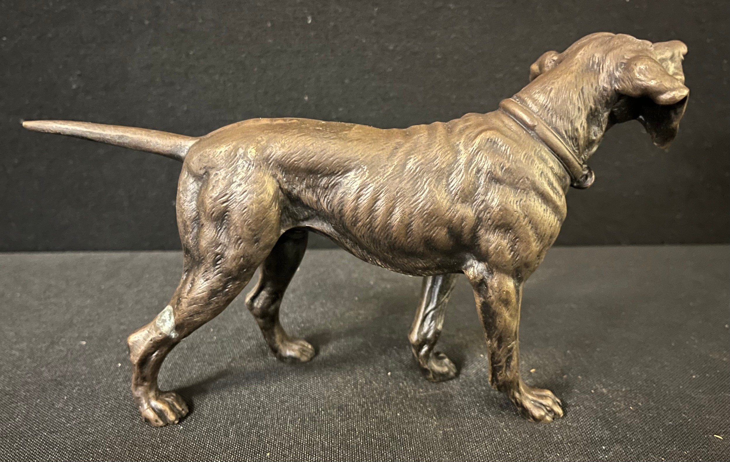 French School, late 19th century, a brown patinated bronze, Pointer, standing, 12.5cm high, 22cm - Image 3 of 3