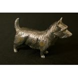 An early 20th century silvered bronzed car mascot, of a Rough Haired Terrier, 11cm wide, c.1930