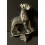 An English chrome plated car mascot, as a Boxer dog, rectangular base, 10.5cm wide, c.1960