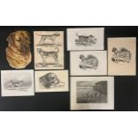 A folio of canine prints, including works after Thomas Landseer, Edwin Landseer, John Doyle, etc (