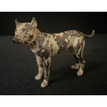 An Austrian cold painted bronze model, of a Bull Terrier, 8cm high, c.1910