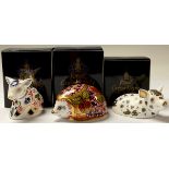 A Royal Crown Derby paperweight, Orchard Hedgehog, Collector's Guild exclusive, gold stopper, boxed;