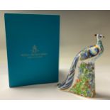 A Royal Crown Derby paperweight, Manor Peacock, gold stopper, 19cm, printed mark, boxed