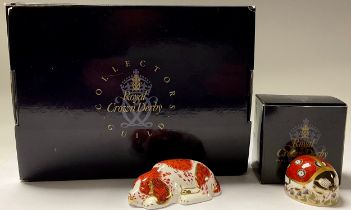 A Royal Crown Derby paperweight, Seven Spot Ladybird, gold stopper, boxed; another, Puppy, members