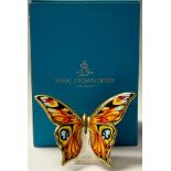 A Royal Crown Derby paperweight, Peacock Butterfly, Collector's Guild exclusive, gold stopper, 10.