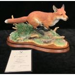 A Border Fine Arts model of a fox, Breaking Cover, limited edition 69/750, wooden plinth base,