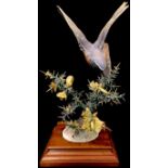 A Royal Worcester model, Redstart and Gorse, wooden base, 27cm high overall