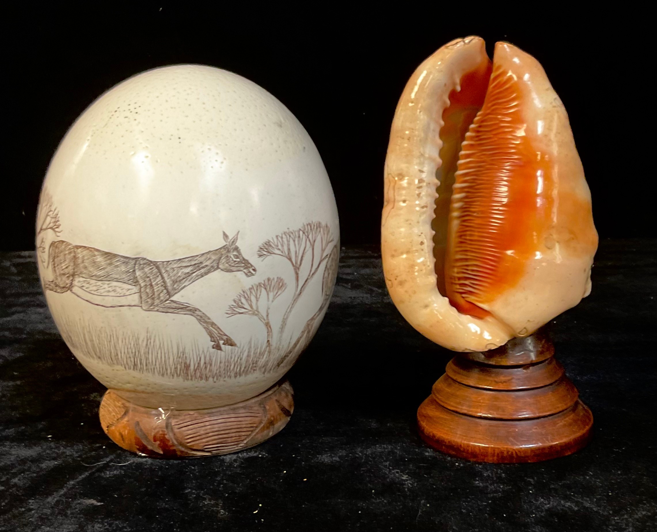 A conch shell carved with a Three Graces cameo, mounted on a conical stepped mahogany base, 17. - Image 2 of 2