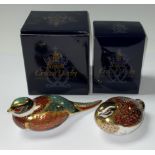 A Royal Crown Derby paperweight, Woodland Pheasant, gold stopper, boxed; another, Quail, gold