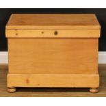 A late 19th/early 20th century pine blanket chest, hinged top enclosing a till and two small