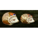 A pair of Royal Crown Derby paperweights, Hawthorn Mother Hedgehog and Bramble Baby Hedgehog,