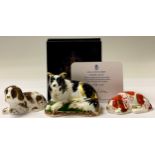 A Royal Crown Derby paperweight, Border Collie, gold backstamp, limited edition 544/2,500, gold