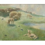 David Buchanan Spring Lambs signed, oil on canvas, 49cm x 59.5cm