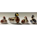 A Royal Crown Derby paperweight, Mallard, gold stopper; others, Bakewell Duckling, Sinclairs