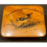 An early 20th century Mauchline type stamp box, the hinged cover painted with a gold finch, Souvenir