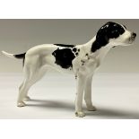 A Royal Crown Derby model of a dog, black and white setter, 23cm long, 13.5cm high, printed mark