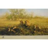 David Shepherd, by and after, First Light at Savuti, signed, limited edition 1,010/1,500