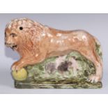 A large pearlware model of a lion, he stands, roaring, his paw upon a sphere, the base moulded