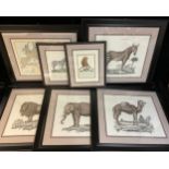 Interior Decoration - a set of four large 19th century style animal prints, Dromedario, Leone, Zebra