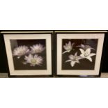 Interior Design - A pair of modern photographic prints, macro studies of flowers, 50cm x 50cm, (2).