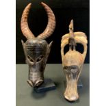 An African Bamana zoomorphic water buffalo mask, curved horns, picked out in brown above deeper tone