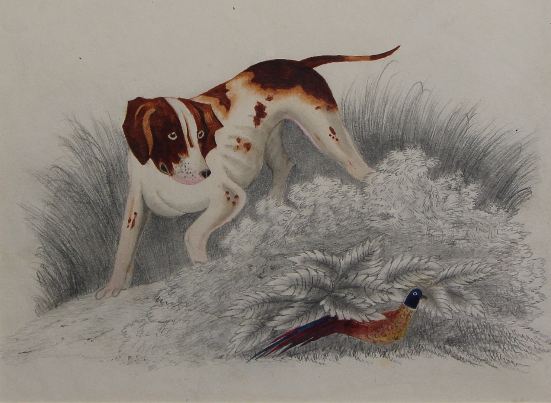 English School (early 19th century) Sporting Gun Dog and Pheasant watercolour, 14cm x 19cm - Image 2 of 2